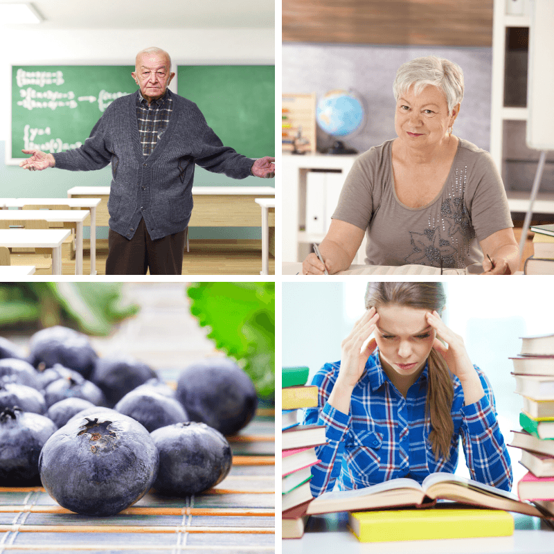 bilace fekete áfonya kivonat